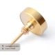 Kids Handmade Brass Dino Knob